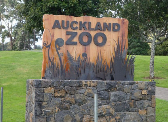 دليلك السياحي لزيارة مدينة أوكلاند النيوزيلندية