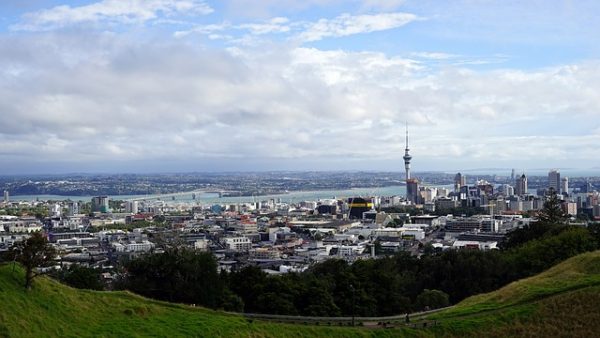 كيفية الحصول على عقد عمل في نيوزيلندا بطرق قانونية