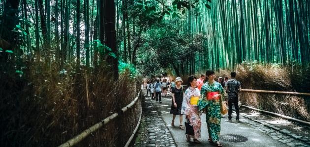 Photo of السياحة في اليابان .. تعرف على أجمل معالم اليابان السياحية مذهلة لا تفوت زيارتها عند سفرك إلى هناك