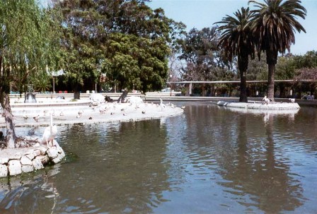Photo of أهم الأنشطة السياحية وملامح حديقة أنطونيادس