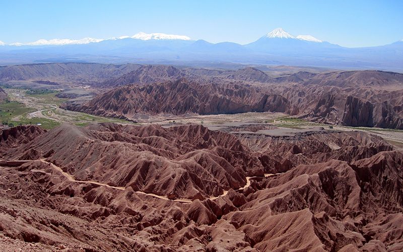Photo of صحراء أتاكاما في تشيلي .. تعرف على هضبة أمريكا الجنوبية الصحراء الأكثر جفافًا في العالم تتحول إلى جنة للزهور