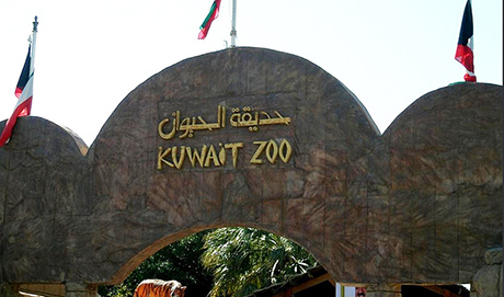 حديقة الحيوان بالكويت اسعار الدخول والمواعيد