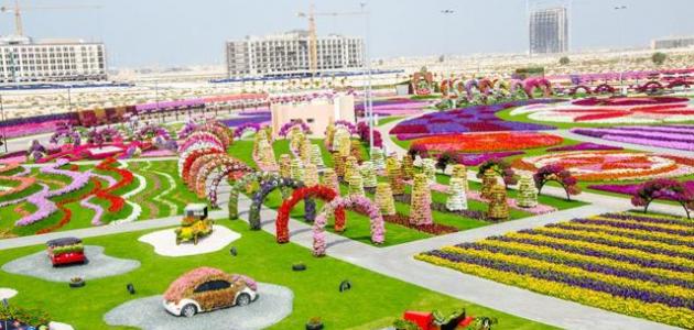 Photo of حديقة الزهور دبي وكيفية الوصول إليها