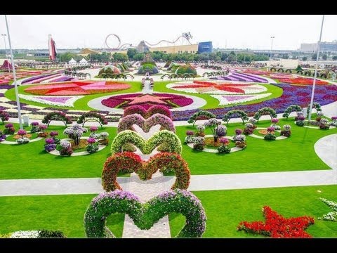 حديقة الزهور دبي