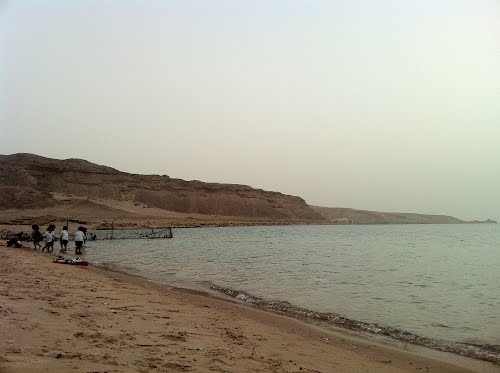 Photo of أنشطة ترفيهية في شاطئ حقل
