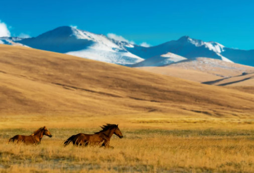 الطبيعة في كازاخستان