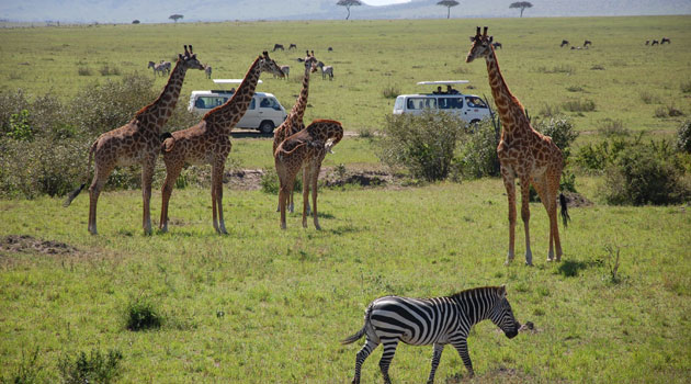 Photo of أهم الاماكن السياحية في كينيا