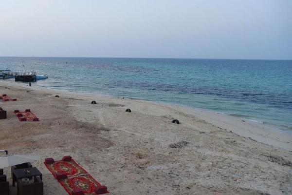 Photo of أنشطة سياحية في جزيرة احبار جازان وأفضل الفنادق القريبة له