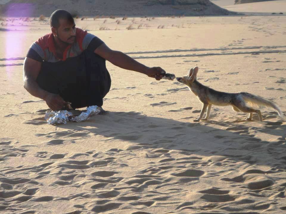 Photo of الأنشطة السياحية في محمية العميد