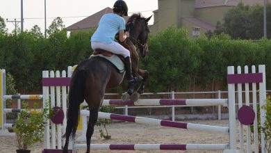 Photo of نادي الفروسية جدة وأسعار الاشتراك في نادي الفروسية