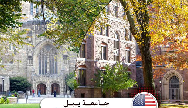 مصاريف جامعة ييل